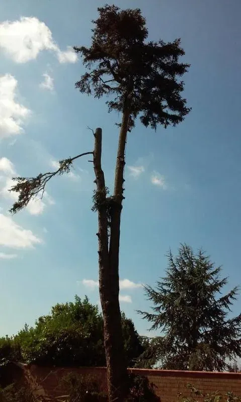 nos realisations amenagements exterieurs pergolas portail motorise car pot cloture et portail portillon et terrasse (1)